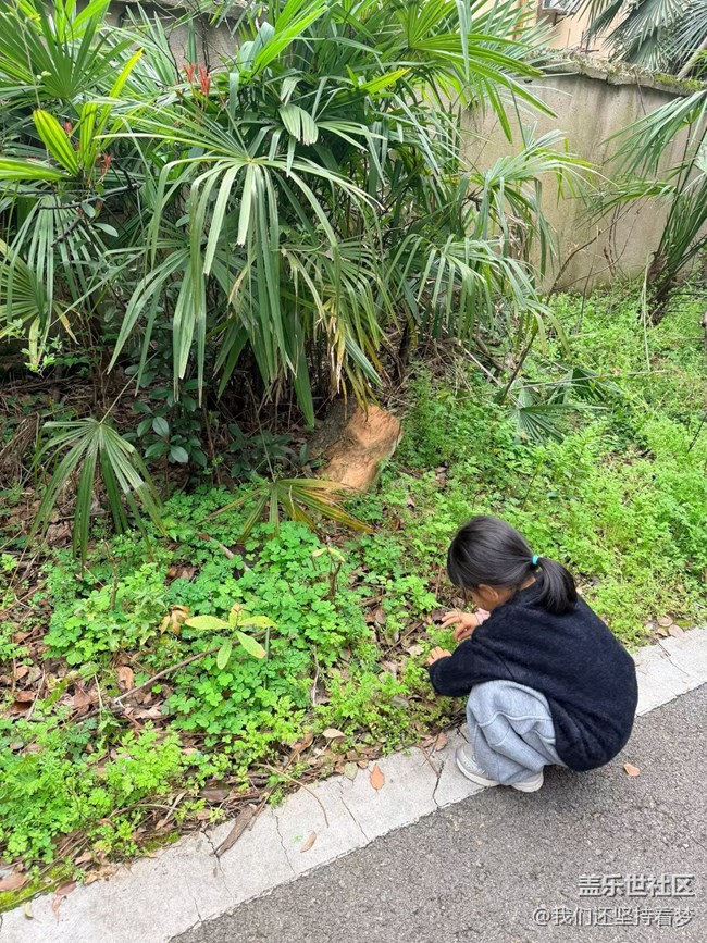 【春日限定】天氣不錯