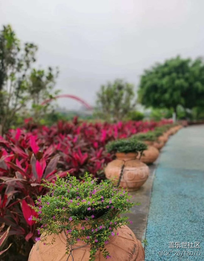 【春日限定】游玩