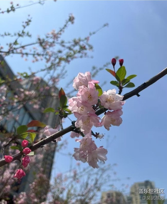 【折疊屏手機(jī)里的春天】好風(fēng)景