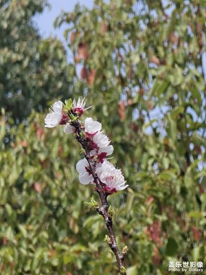 【春光里】+ 春天