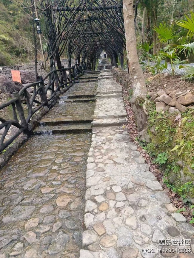 【春日限定】出游