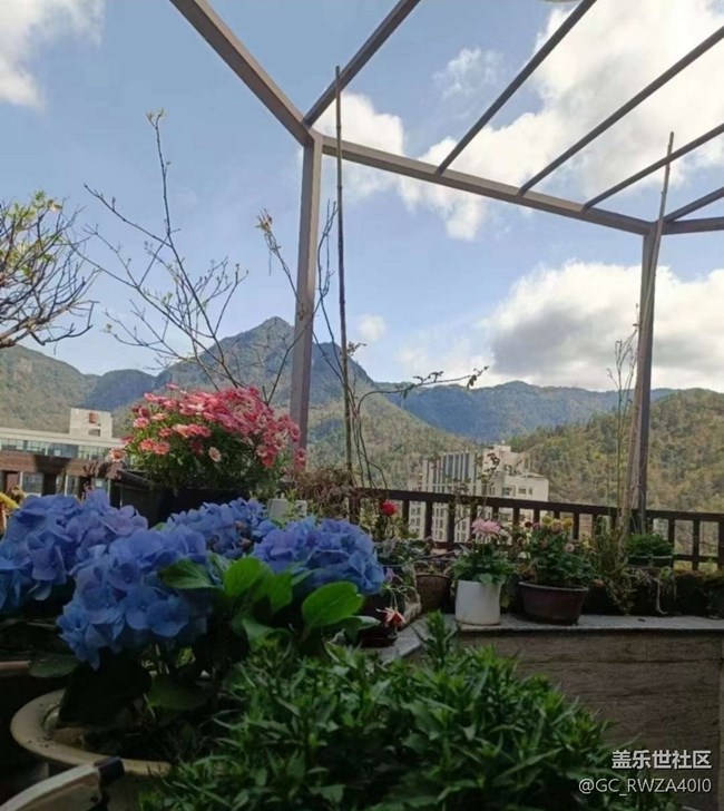 【折疊屏手機(jī)里的春天】花世界