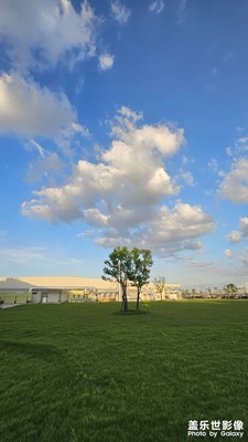 公司里隨手一拍，蔚藍的天空。