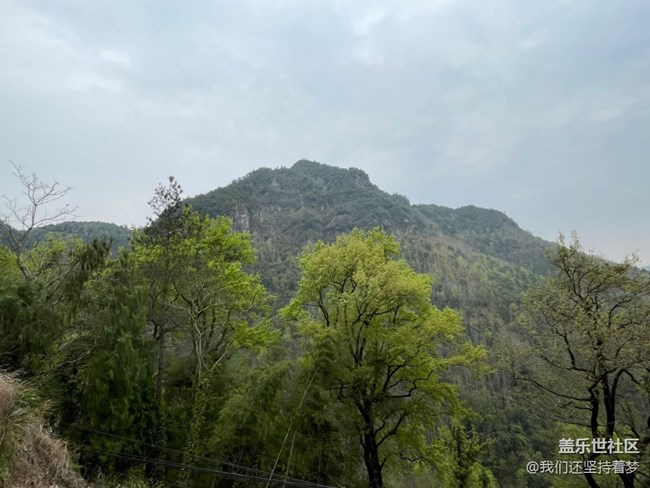 【折疊屏手機(jī)里的春天】周末爬山