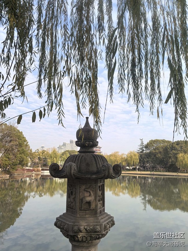 【迎春，在冬末】冬末尋春，在枝椏間等風(fēng)來