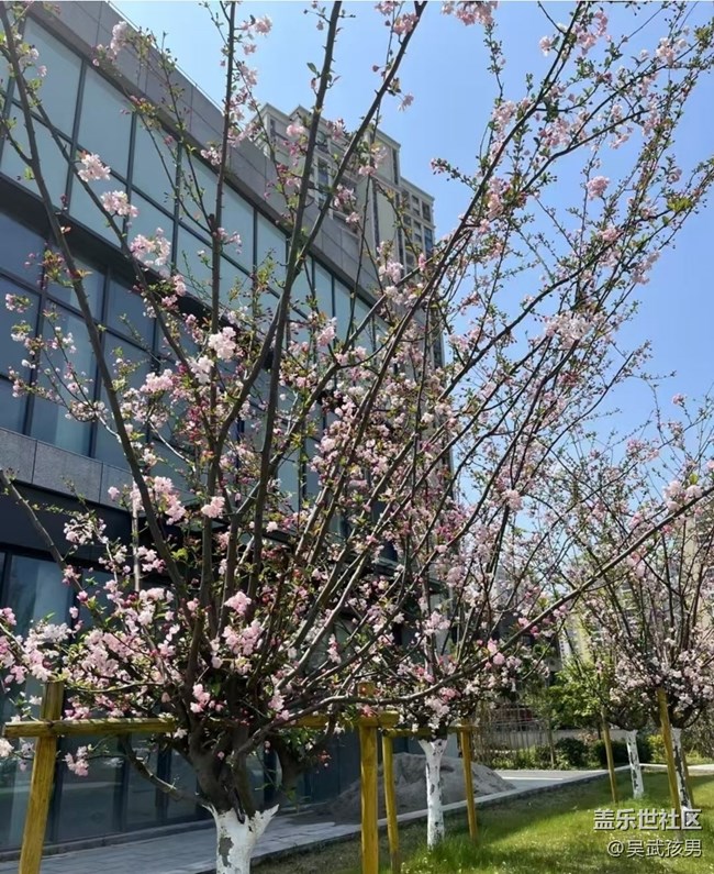 【折疊屏手機(jī)里的春天】好風(fēng)景