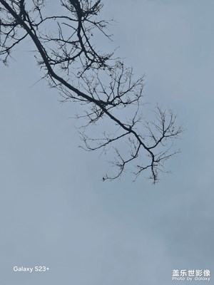 【春光里】各種天色