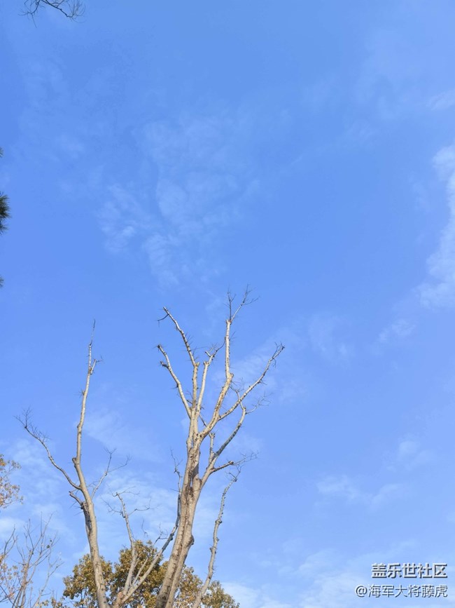 【迎春，在冬末】冬末尋春，在枝椏間等風(fēng)來