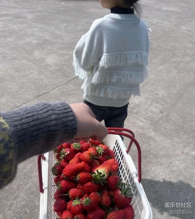 【春日限定】摘草莓