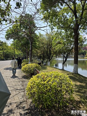 【春光里】+停停走走