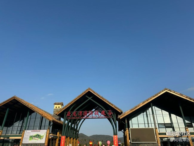 【折疊屏手機里的春天】玫瑰谷