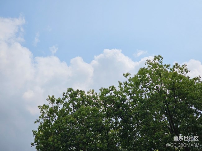 【春日限定】春天