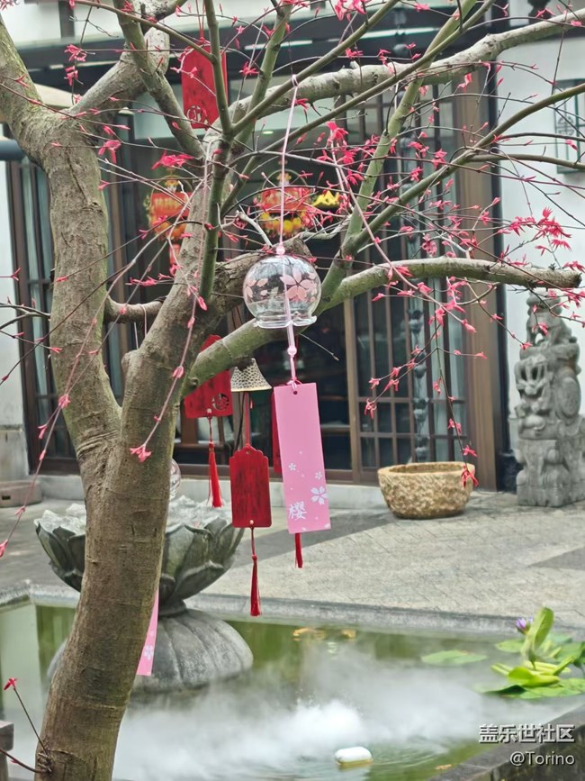 【春日限定】出去浪