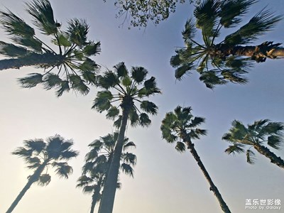 【春光里】春日海邊