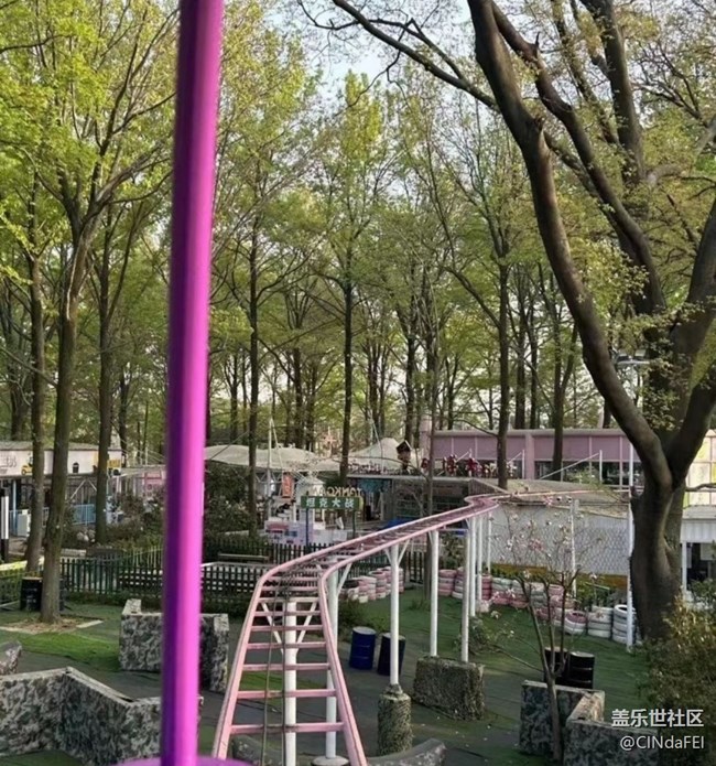 【折疊屏手機(jī)里的春天】春花開