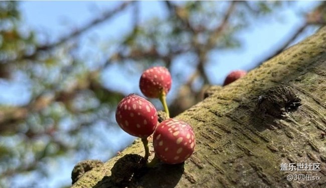 【折疊屏手機里的春天】小精靈