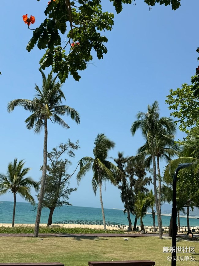 【春日限定】天涯海角