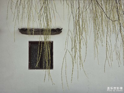 【春光里】春來到