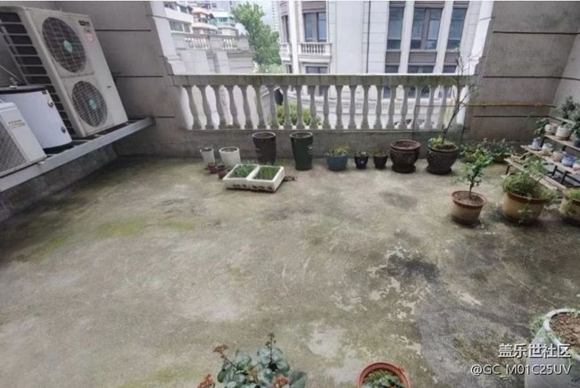 【折疊屏手機里的春天】后花園