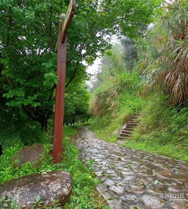 【春日限定】春雨