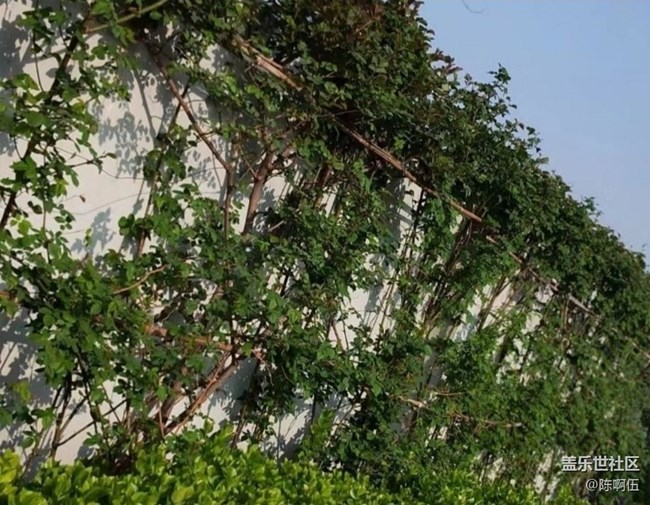 【春日限定】故地重游