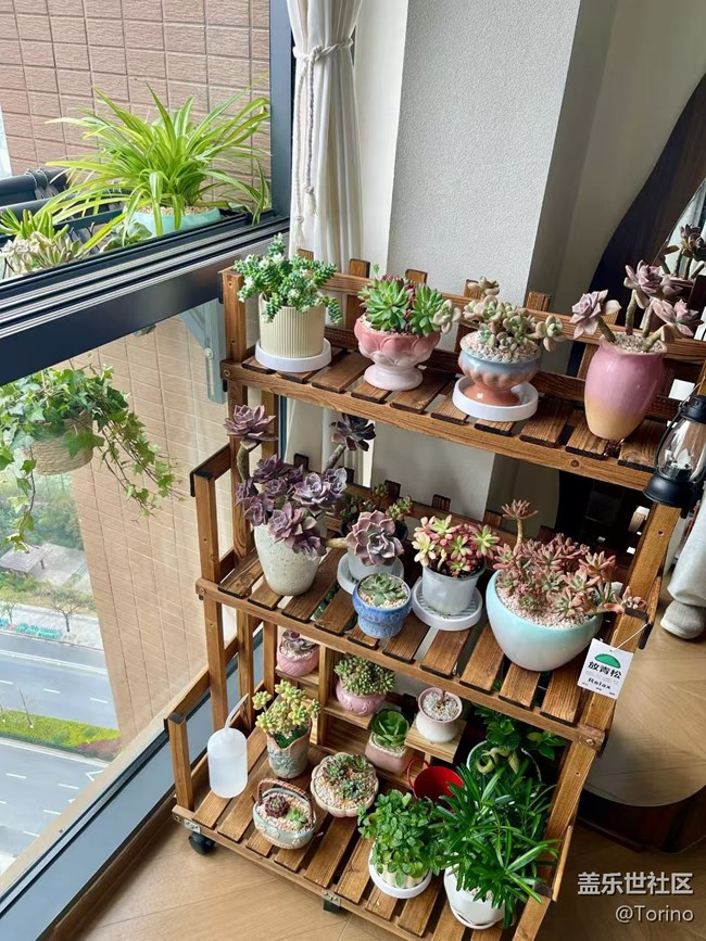 【折疊屏手機(jī)里的春天】小肉肉