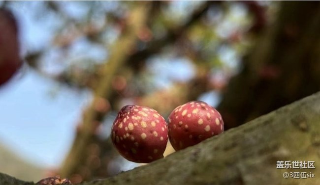 【折疊屏手機里的春天】小精靈