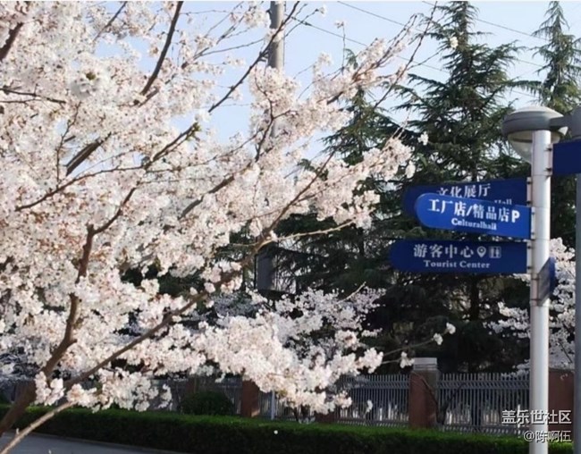 【春日限定】故地重游