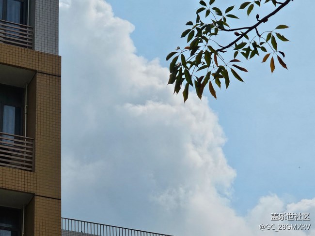 【折疊屏手機里的春天】春日隨拍