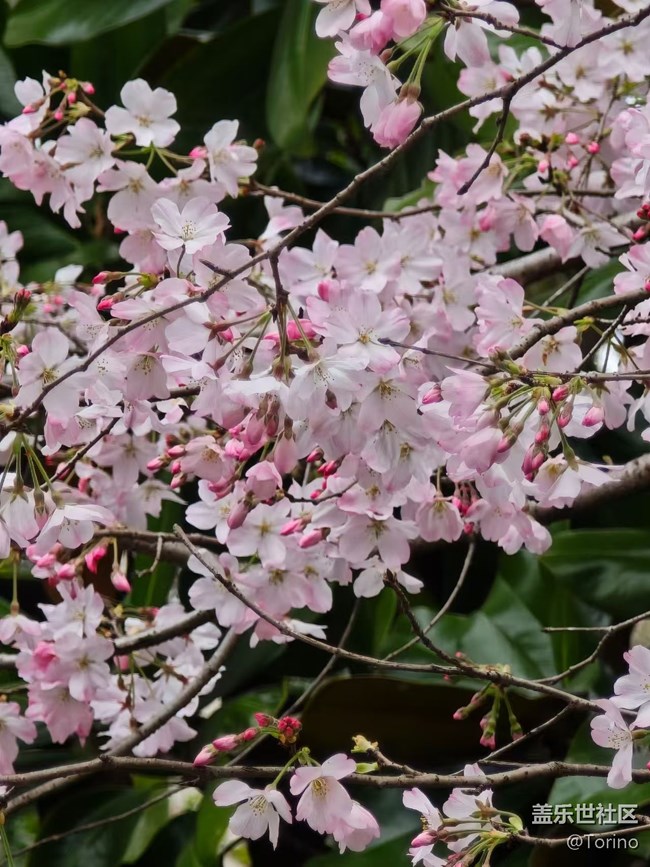 【春日限定】出去浪