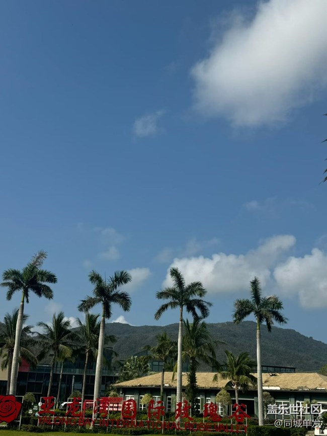 【折疊屏手機里的春天】玫瑰谷