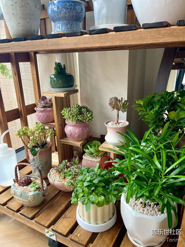 【折疊屏手機(jī)里的春天】小肉肉