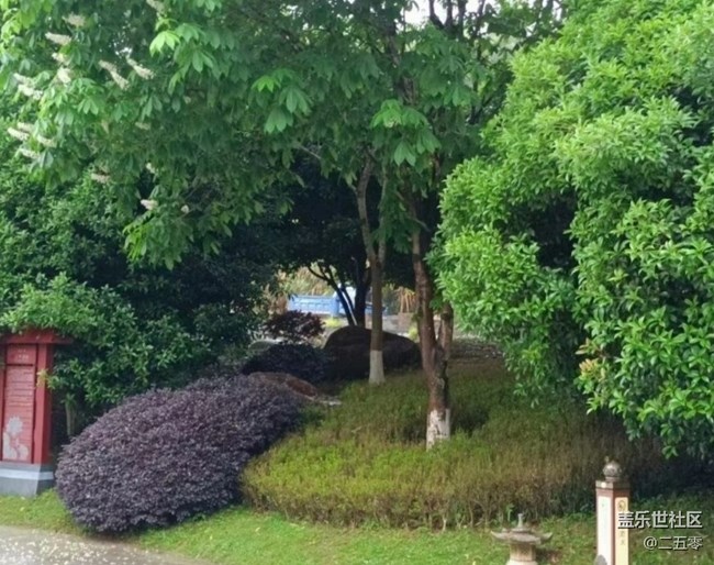 【春日限定】春雨