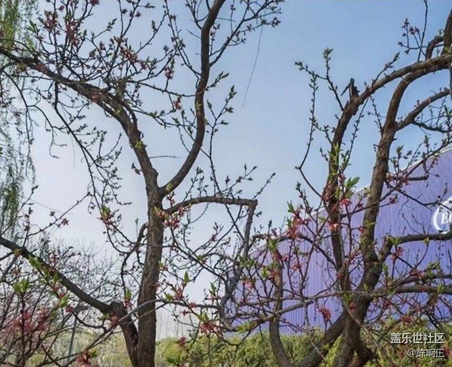 【春日限定】故地重游