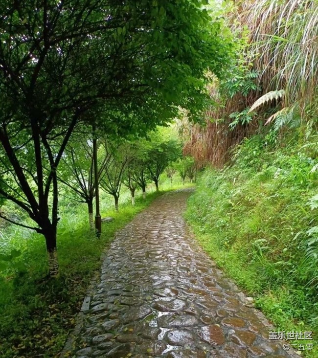 【春日限定】春雨