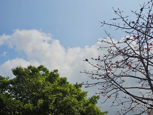 【折疊屏手機里的春天】春日隨拍