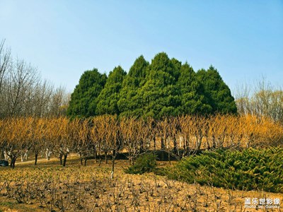 【春光里】踏春