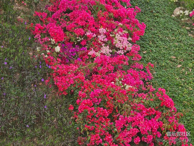 【春日限定】感受好春光