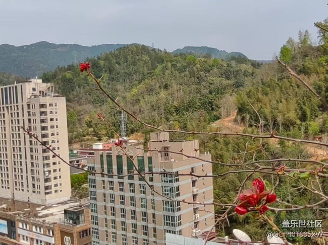 【折疊屏手機(jī)里的春天】芽芽樂(lè)