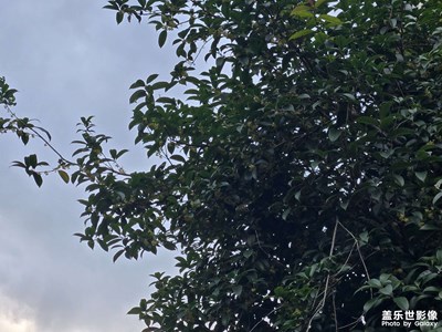 【春光里】戶外