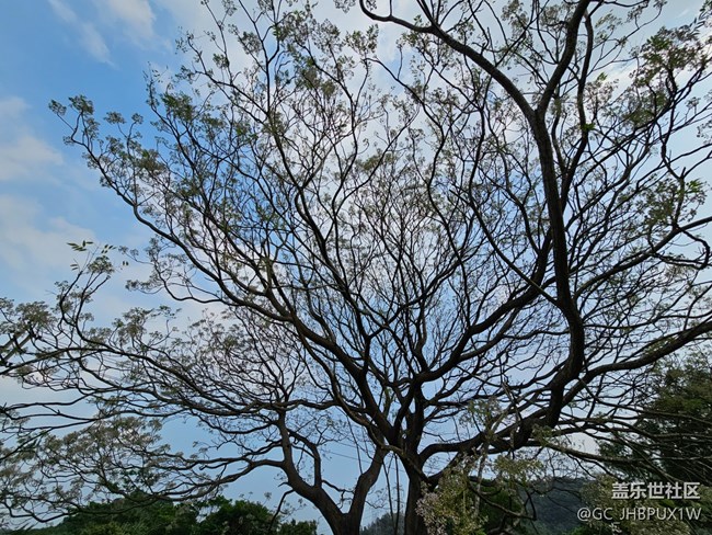 【春日限定】感受好春光