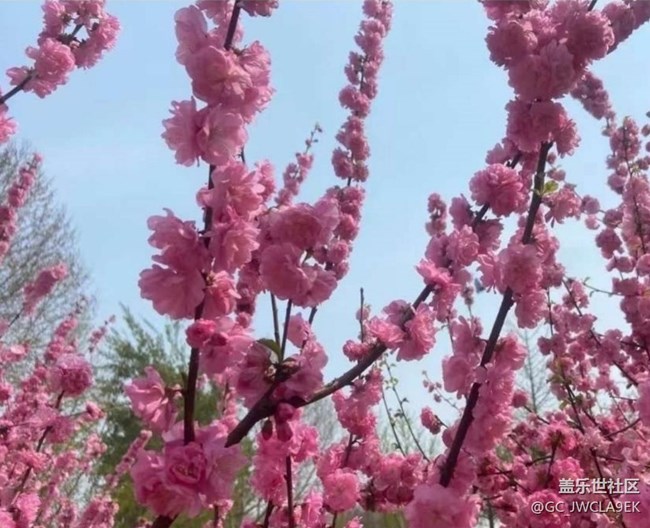 【春日限定】春日公園