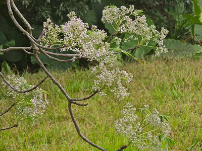 【春光里】3月的溫暖