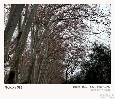 【春光里】天幕下