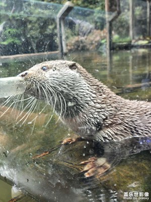 【春光里】小生靈