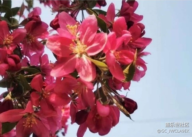 【春日限定】春日公園