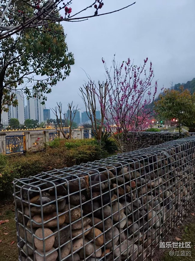 【春日限定】春日小徑