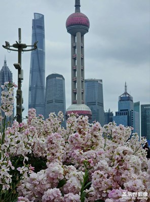 從北外灘到南京東路