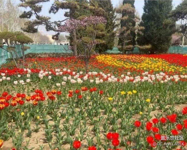 【春日限定】春日公園