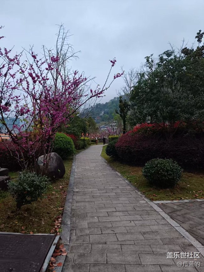 【春日限定】春日小徑